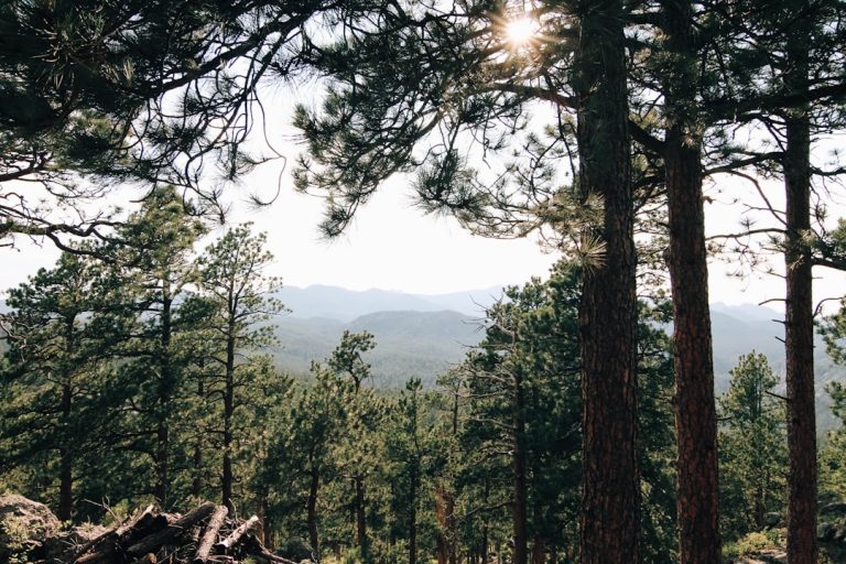 Unleashing Your Inner Explorer: Embracing the Wonders of Outdoor Travel