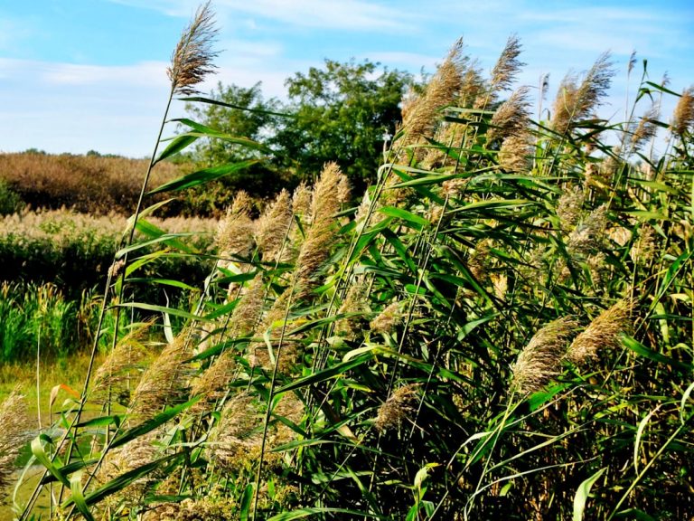 The Art of Budget-Friendly Outdoor Travel: Exploring Nature Without Breaking the Bank
